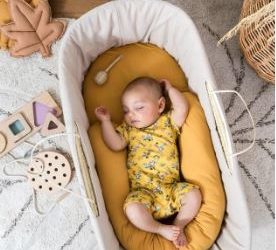 minhoquitas e minhocotas