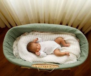 moisés recém-nascidos